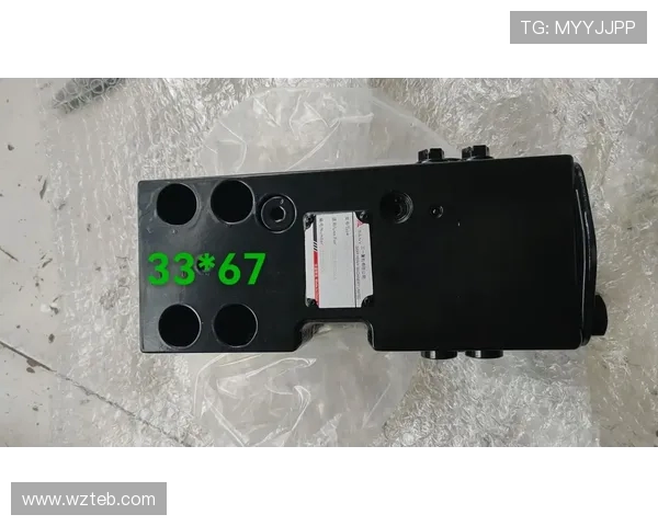 挖掘机动臂保持阀内部节流孔